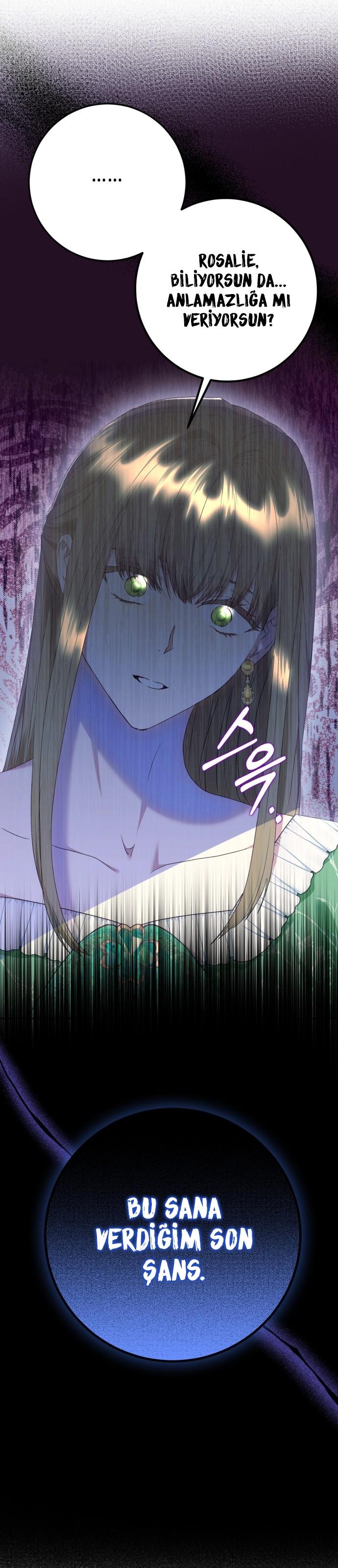 2-cm2xdfr0s0001tt82570od8ls