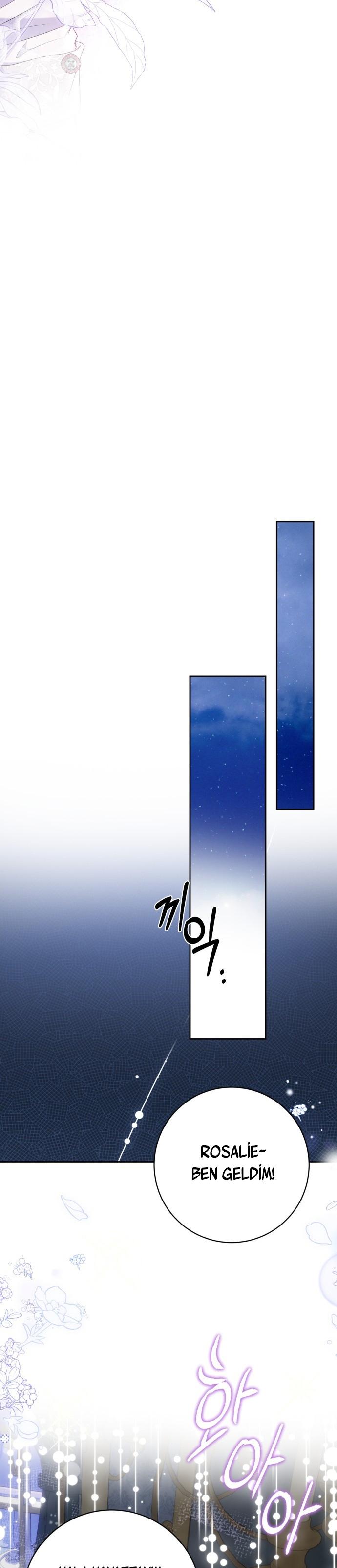 35-cm2xdfr0s0001tt82570od8ls