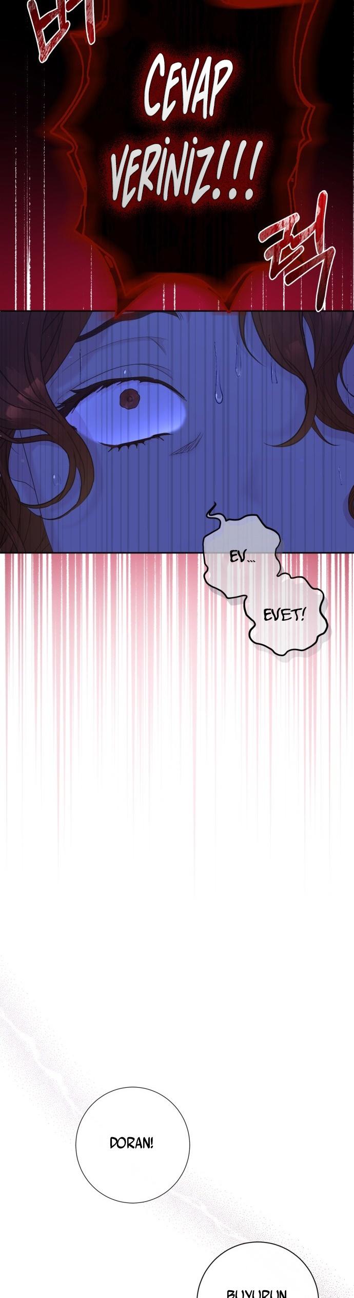 18-cm2xdfr0s0001tt82570od8ls