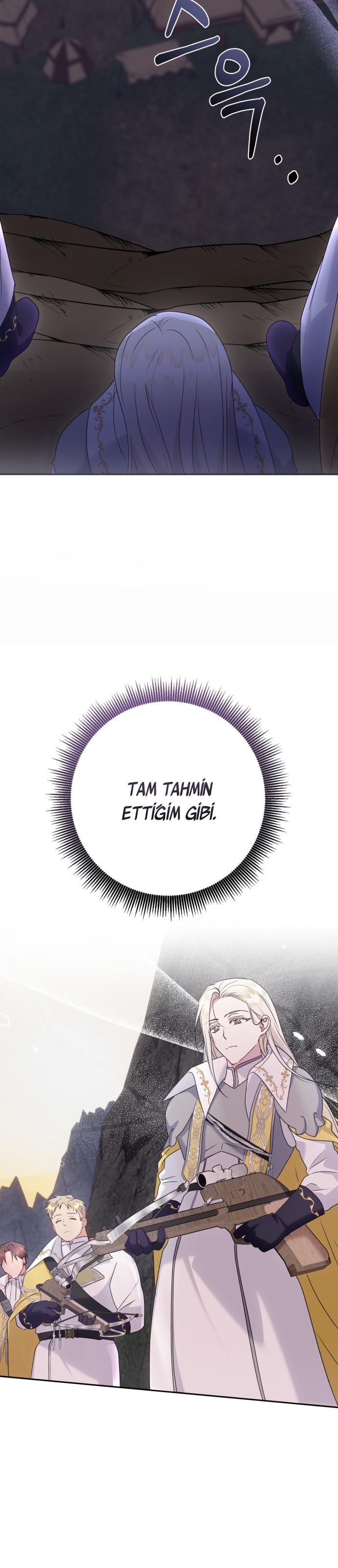 3-cm2xdfr0s0001tt82570od8ls