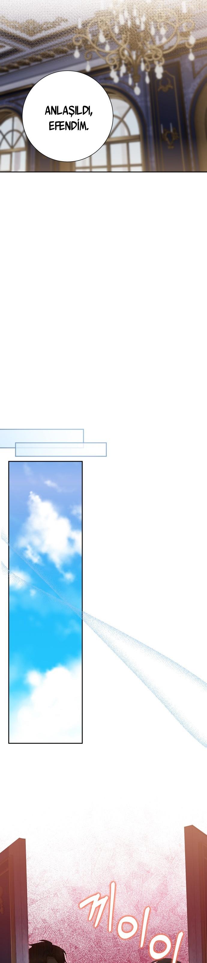 12-cm2xdfr0s0001tt82570od8ls