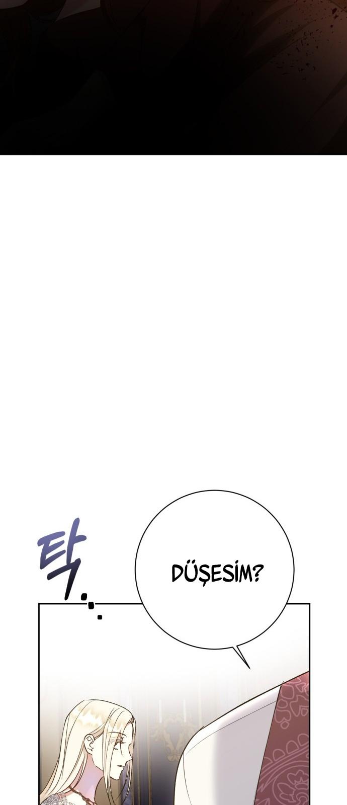 27-cm2xdfr0s0001tt82570od8ls