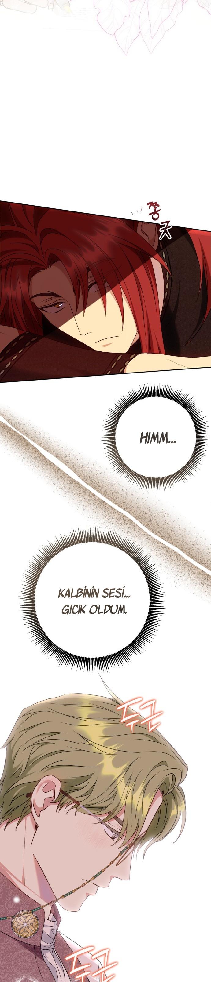 36-cm2xdfr0s0001tt82570od8ls
