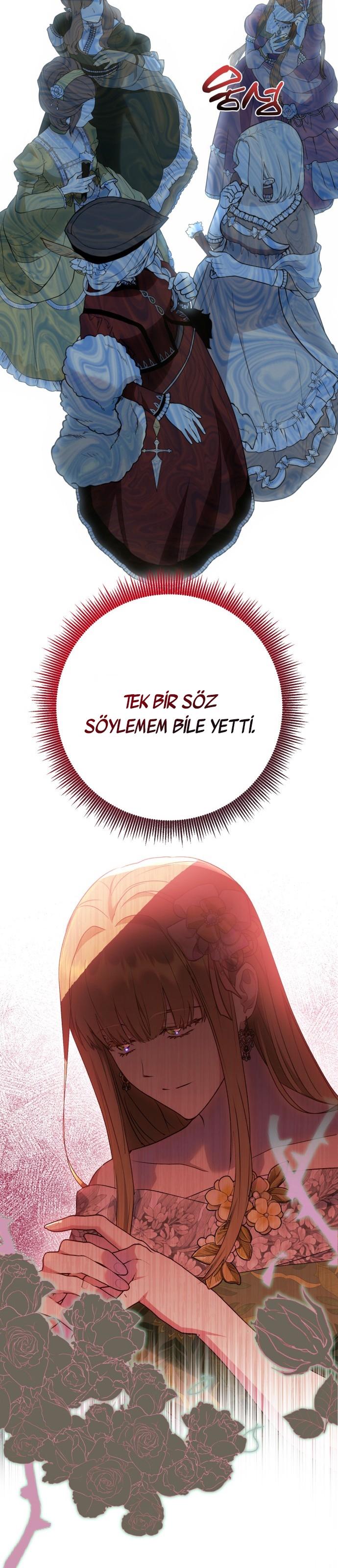22-cm2xdfr0s0001tt82570od8ls