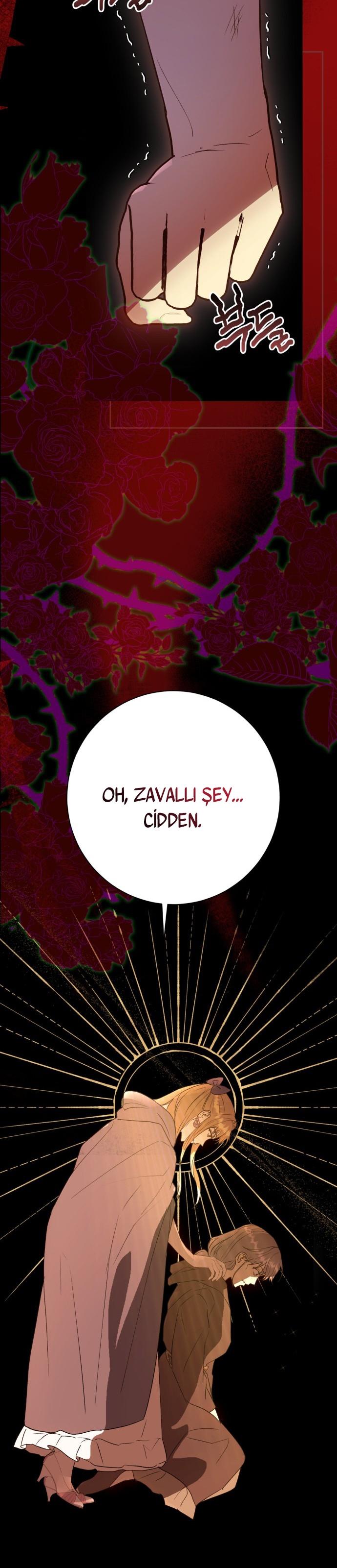 25-cm2xdfr0s0001tt82570od8ls