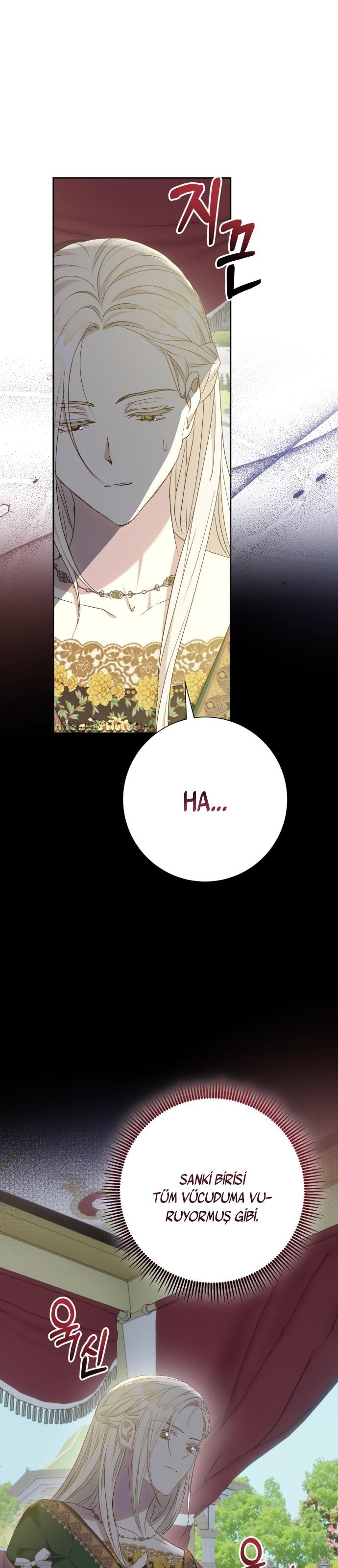 18-cm2xdfr0s0001tt82570od8ls
