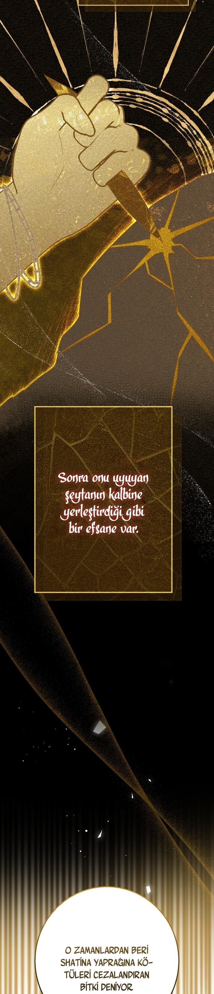 19-cm2xdfr0s0001tt82570od8ls