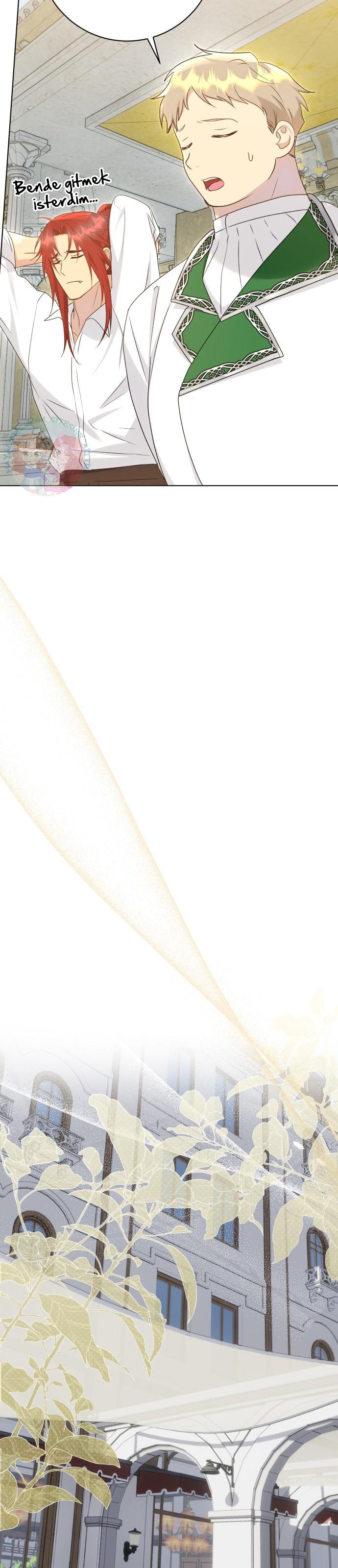 24-cm2xdfr0s0001tt82570od8ls
