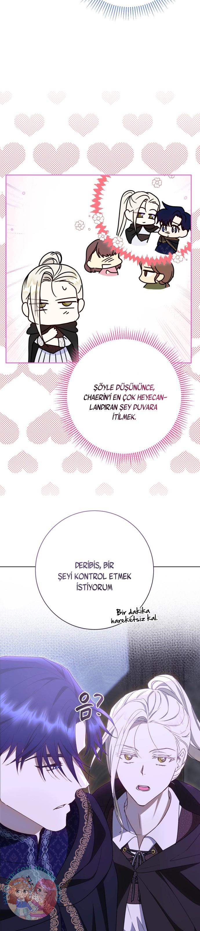 22-cm2xdfr0s0001tt82570od8ls