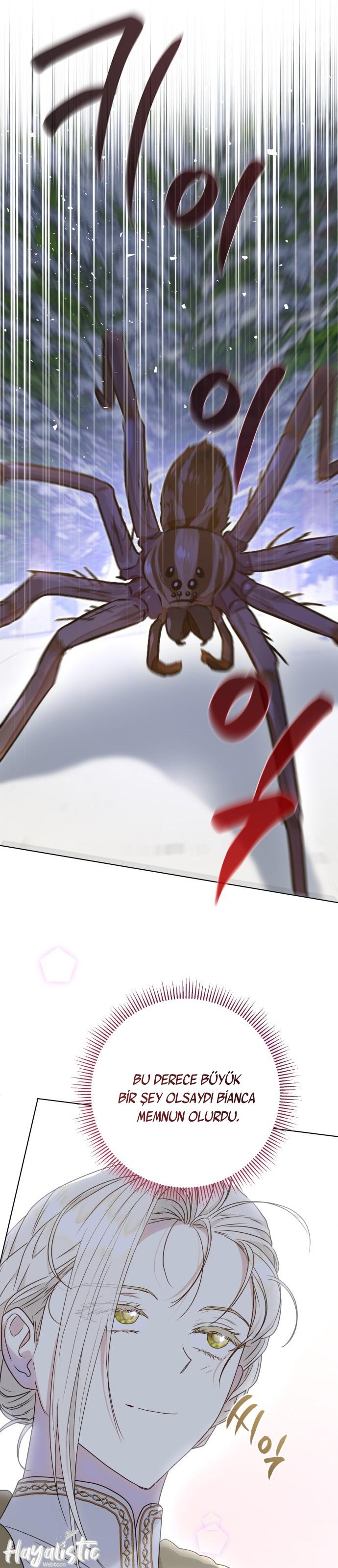 8-cm2xdfr0s0001tt82570od8ls