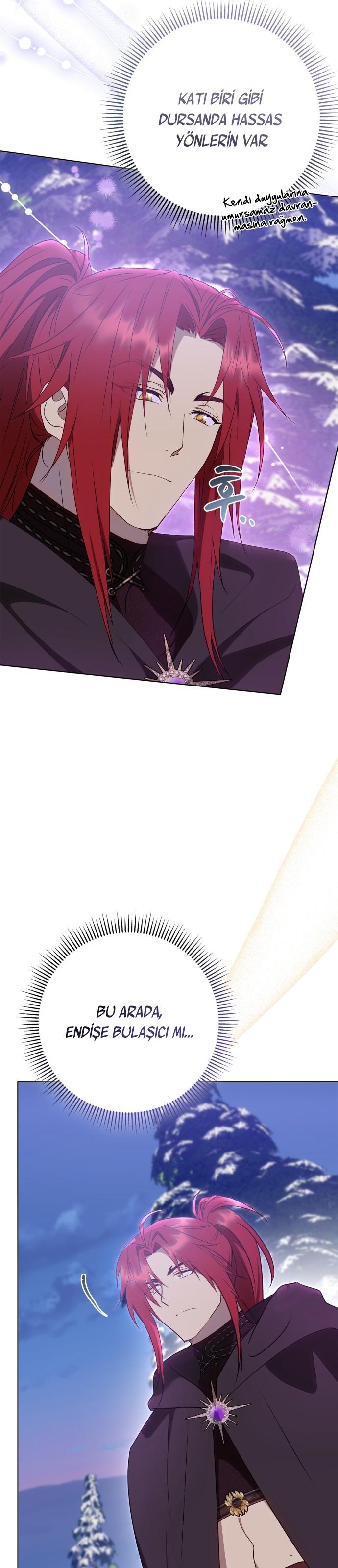24-cm2xdfr0s0001tt82570od8ls