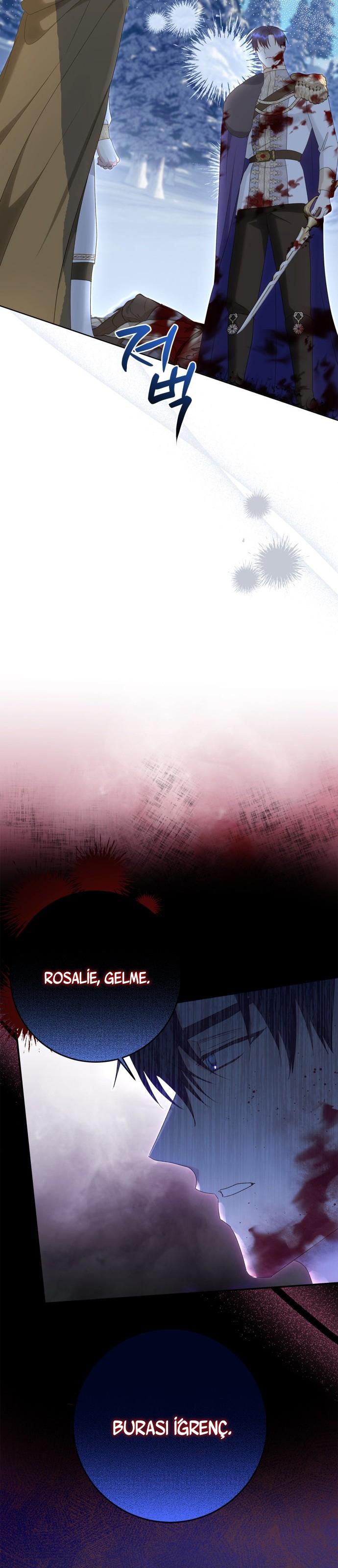 33-cm2xdfr0s0001tt82570od8ls
