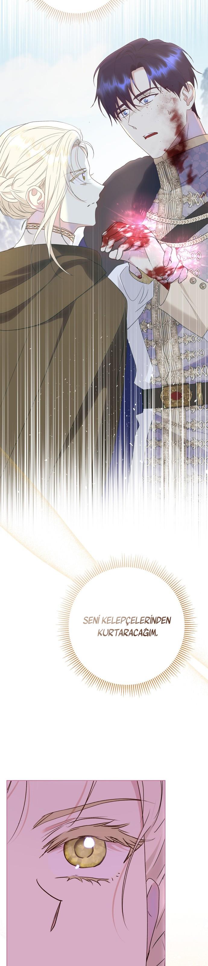 5-cm2xdfr0s0001tt82570od8ls