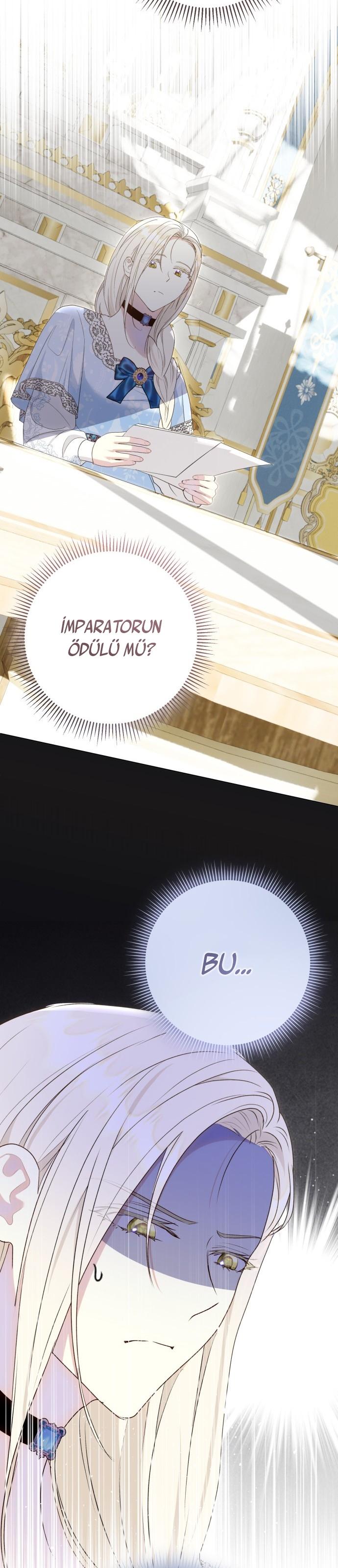 38-cm2xdfr0s0001tt82570od8ls