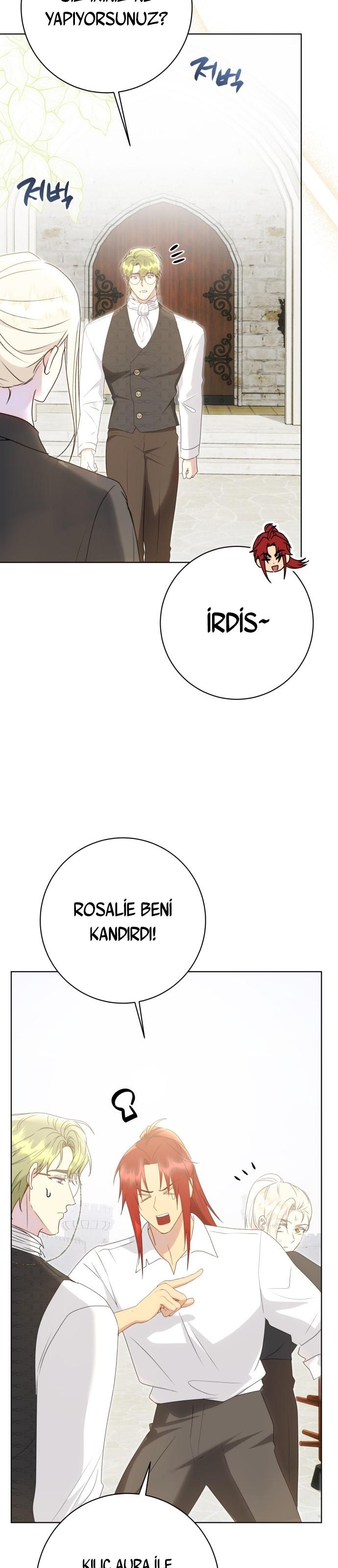 21-cm2xdfr0s0001tt82570od8ls