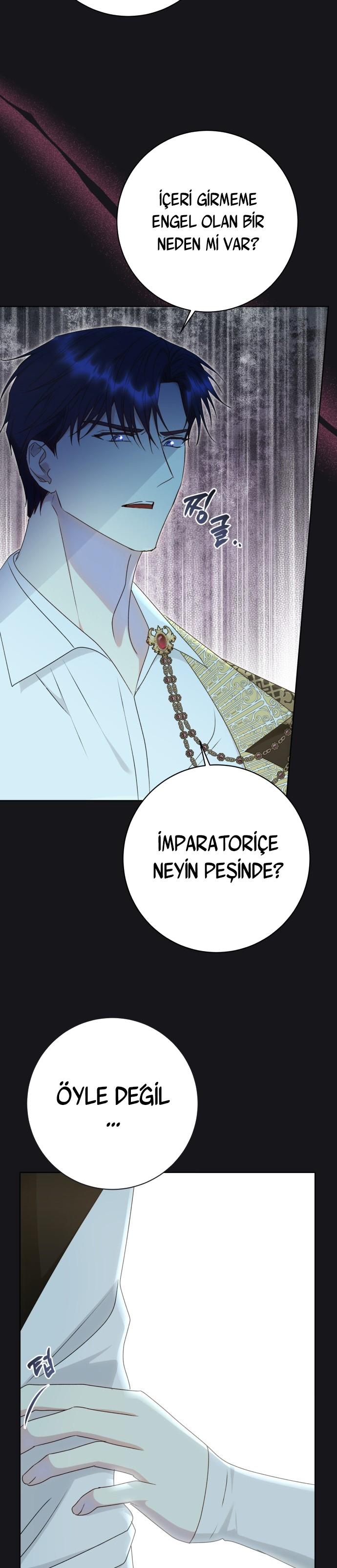 33-cm2xdfr0s0001tt82570od8ls