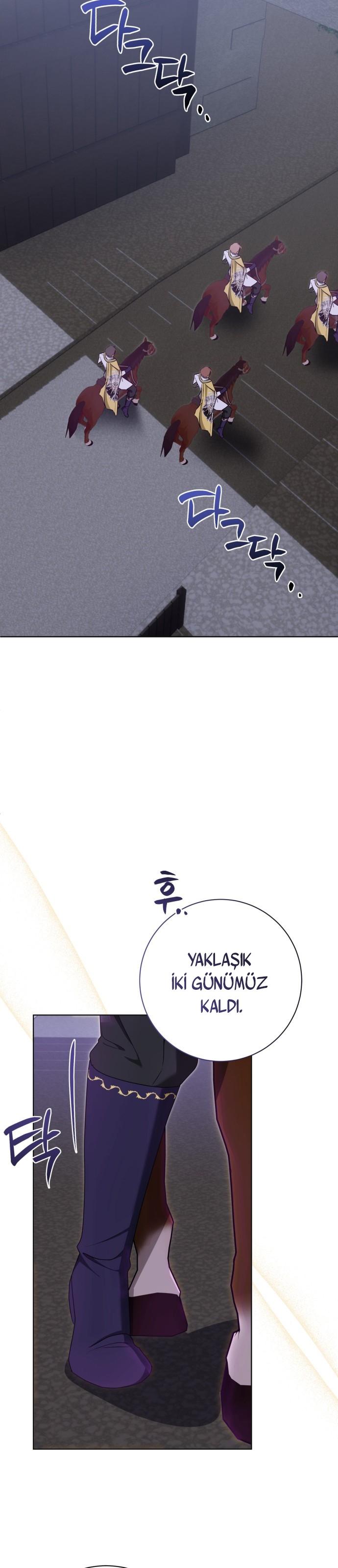 17-cm2xdfr0s0001tt82570od8ls