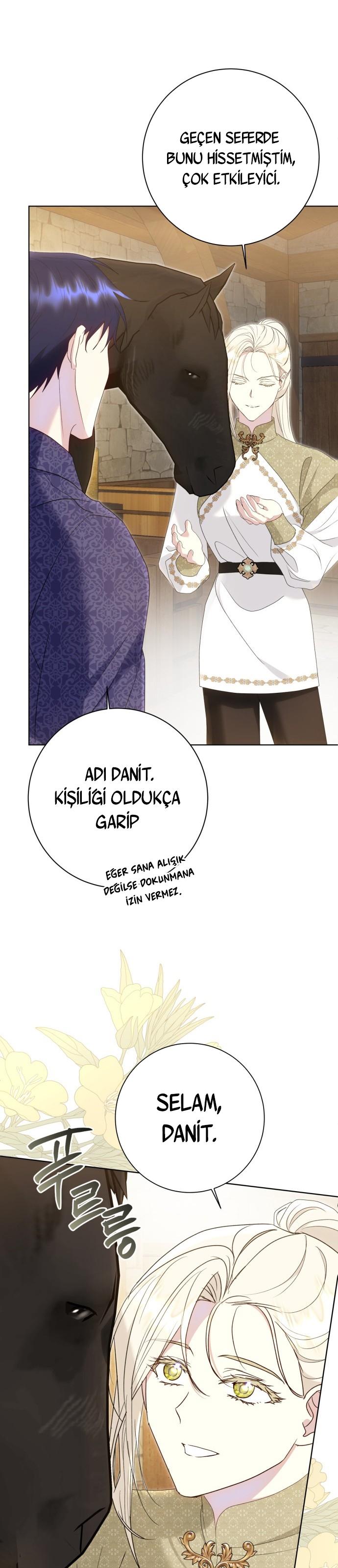 8-cm2xdfr0s0001tt82570od8ls