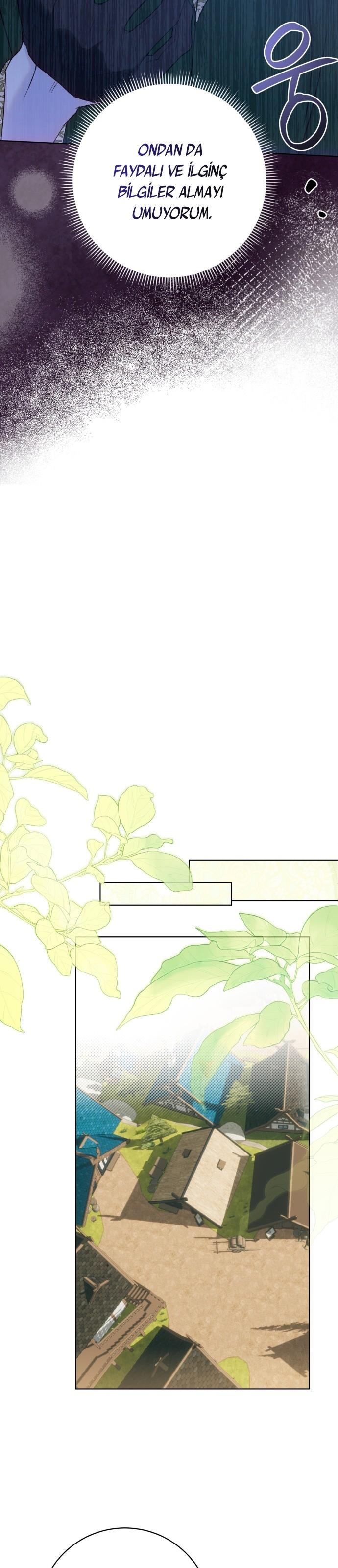 22-cm2xdfr0s0001tt82570od8ls