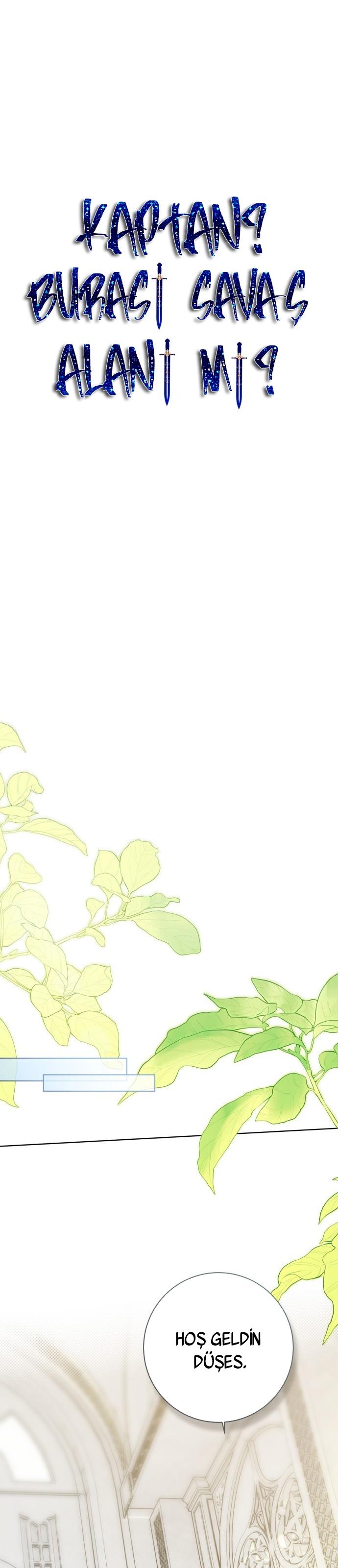 16-cmc1vvo430025phxcd4xhnki2