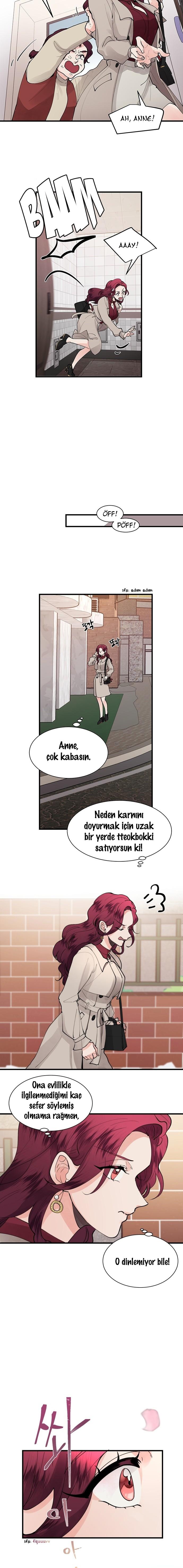3-cm2xdfr0s0001tt82570od8ls