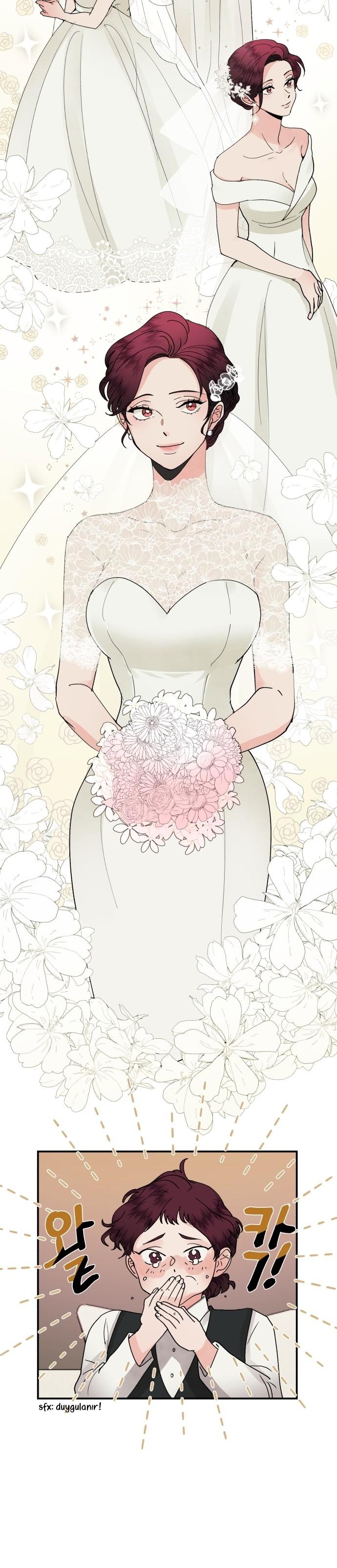 11-cm2xdfr0s0001tt82570od8ls