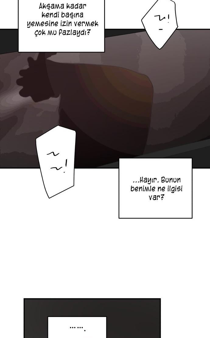 54-cm2xdfr0s0001tt82570od8ls