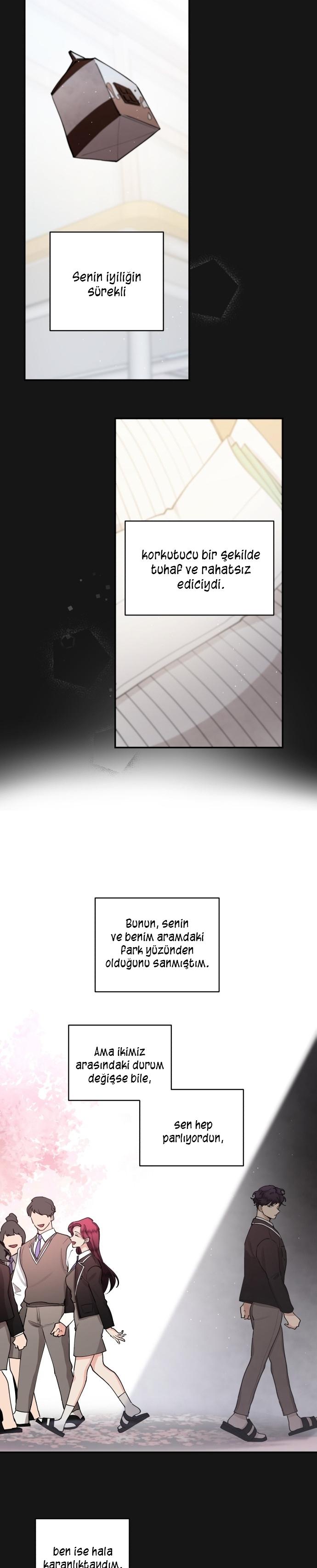 24-cm2xdfr0s0001tt82570od8ls
