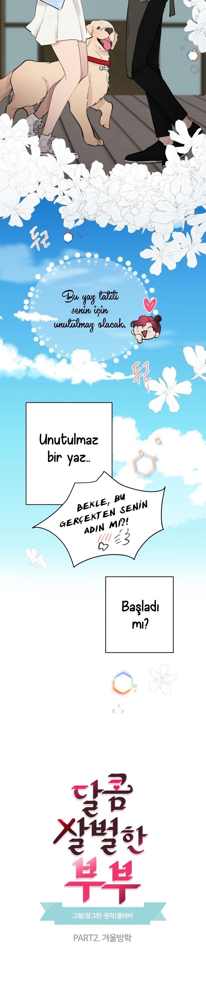 7-cm2xdfr0s0001tt82570od8ls