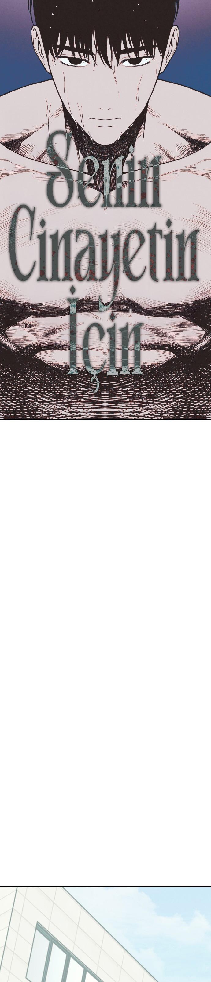 15-cmc1vvo430025phxcd4xhnki2