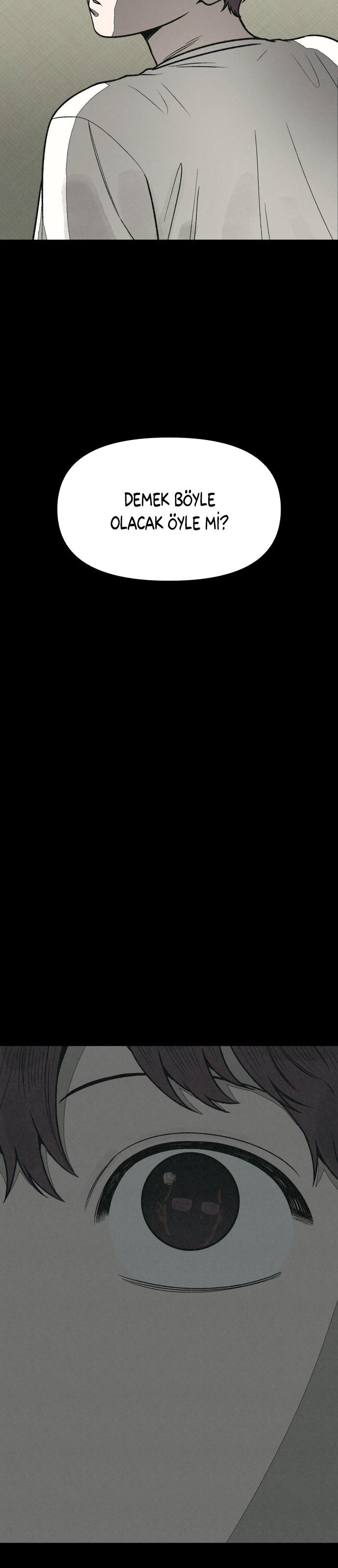 3-cmc1vvo430025phxcd4xhnki2
