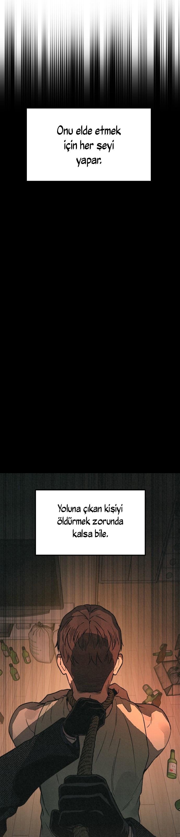 3-cmc1vvo430025phxcd4xhnki2