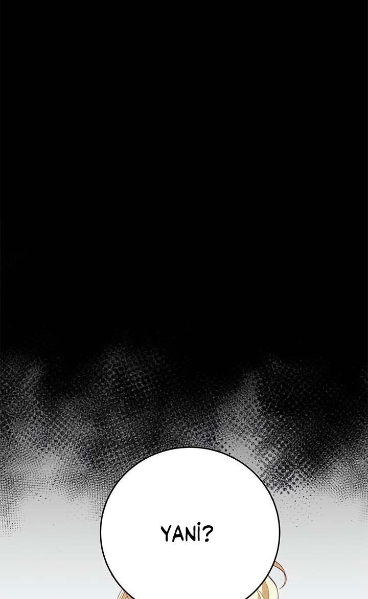 15-cm2xdfr0s0001tt82570od8ls