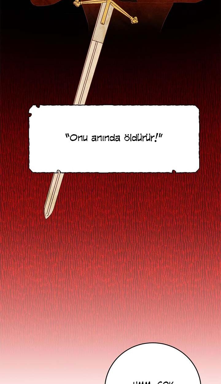 65-cm2xdfr0s0001tt82570od8ls