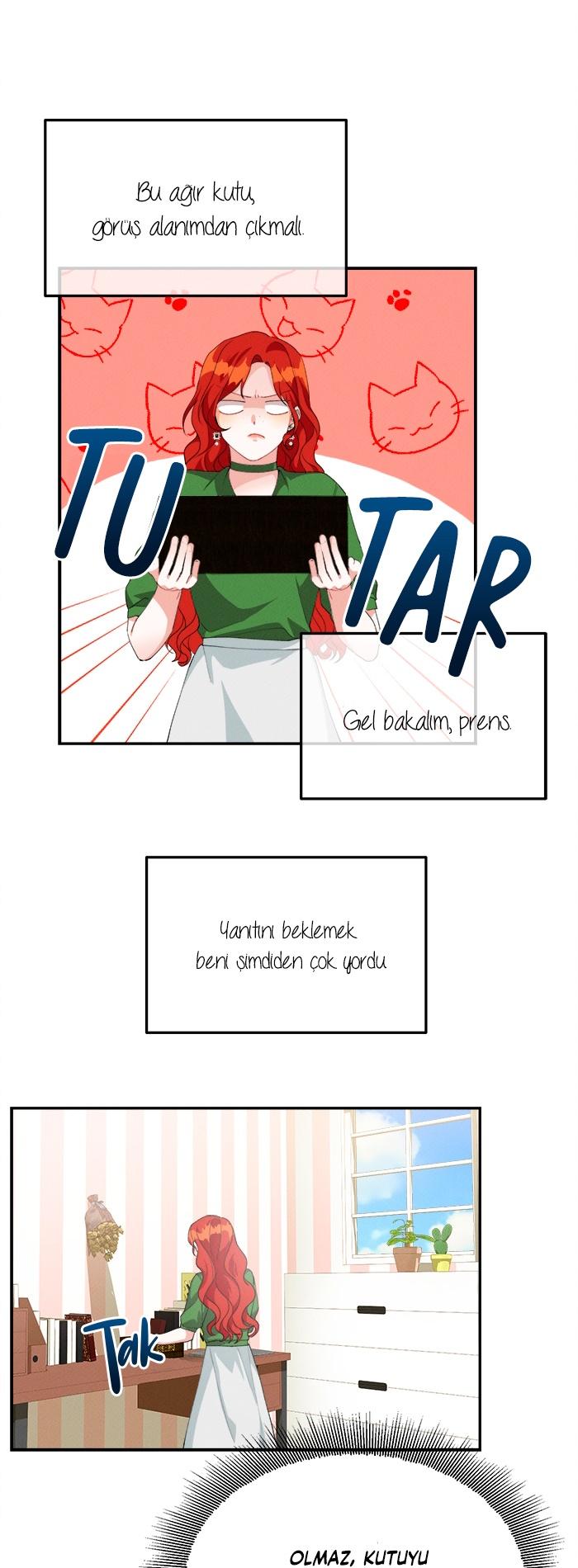 29-cm2xdfr0s0001tt82570od8ls