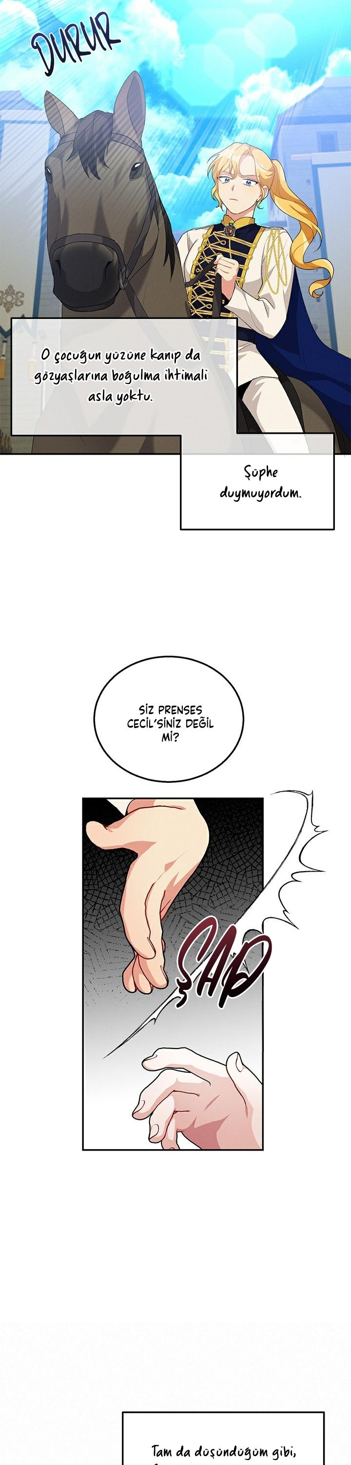 7-cm2xdfr0s0001tt82570od8ls