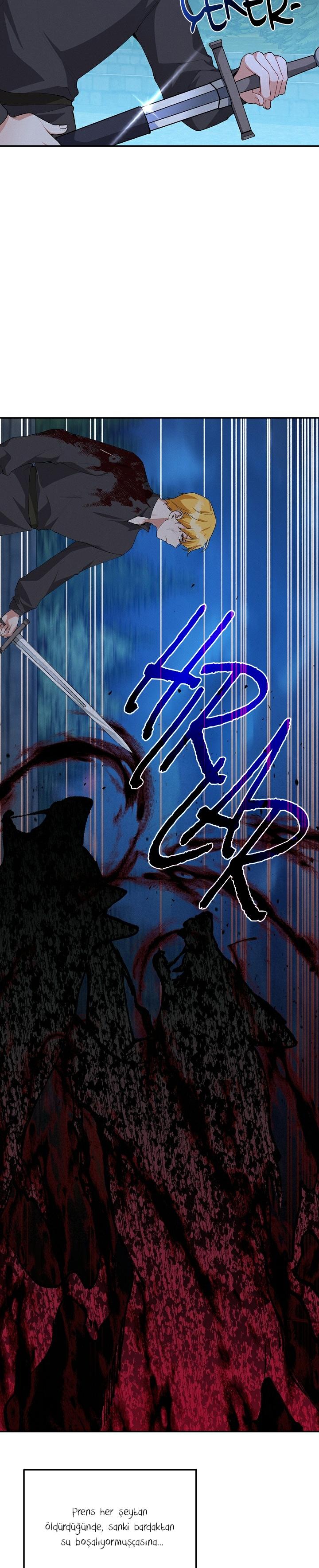 13-cm2xdfr0s0001tt82570od8ls