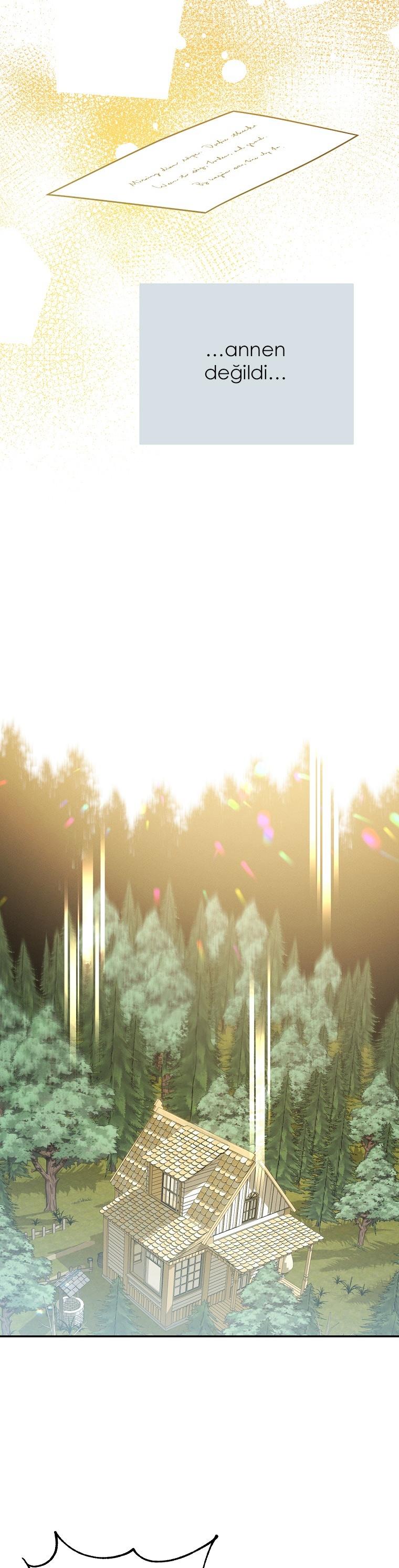29-cmc1vvo430025phxcd4xhnki2