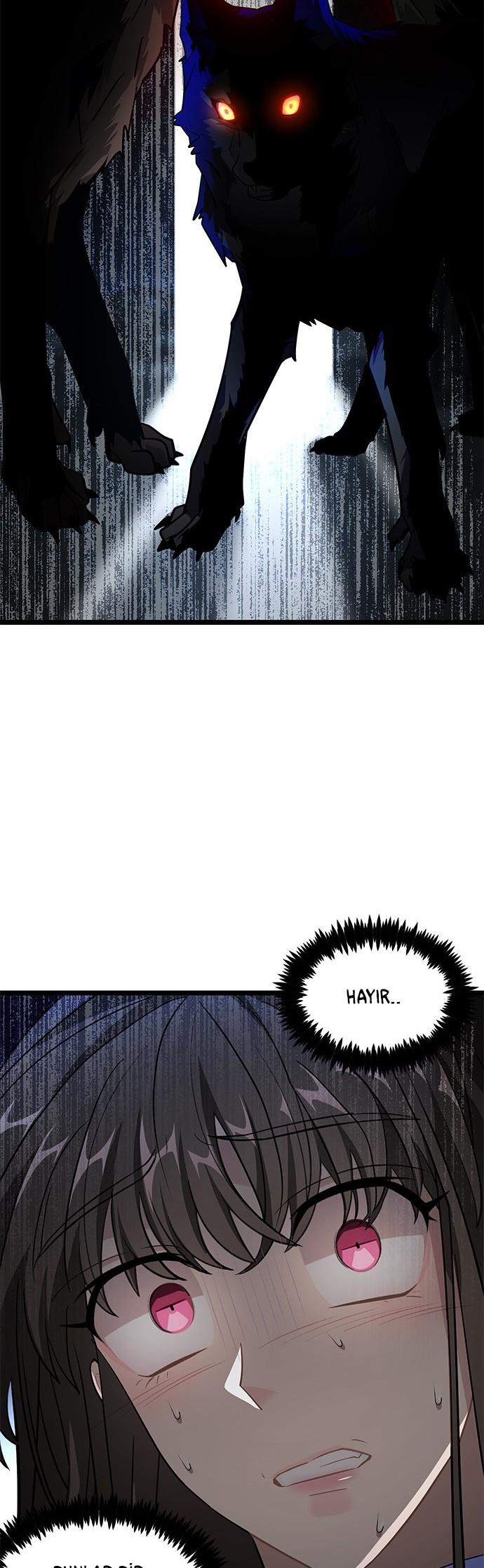 53-cm2xdfr0s0001tt82570od8ls