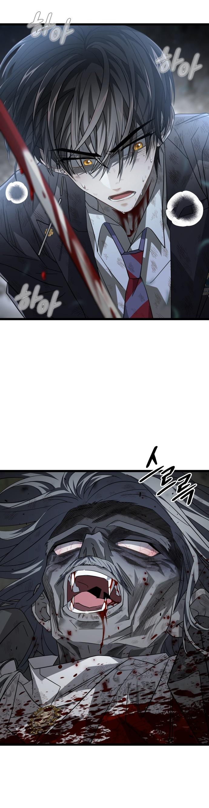 27-cm2xdfr0s0001tt82570od8ls