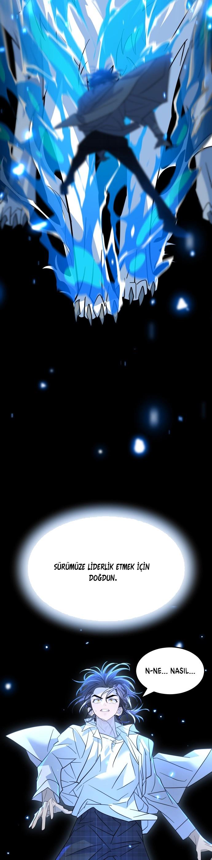 17-cm2xdfr0s0001tt82570od8ls