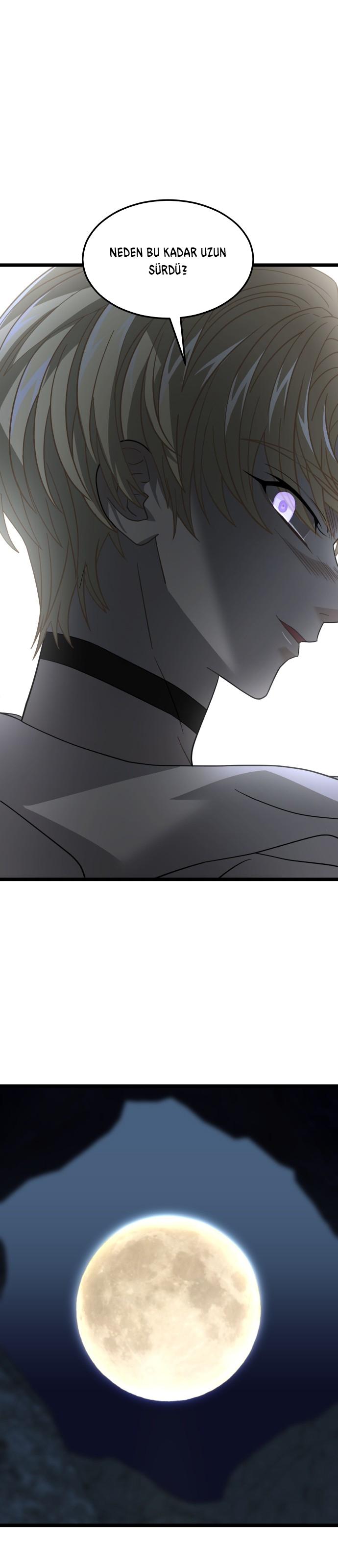 2-cm2xdfr0s0001tt82570od8ls