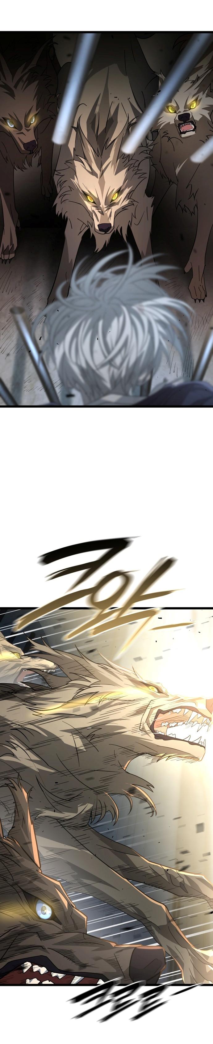 46-cm2xdfr0s0001tt82570od8ls