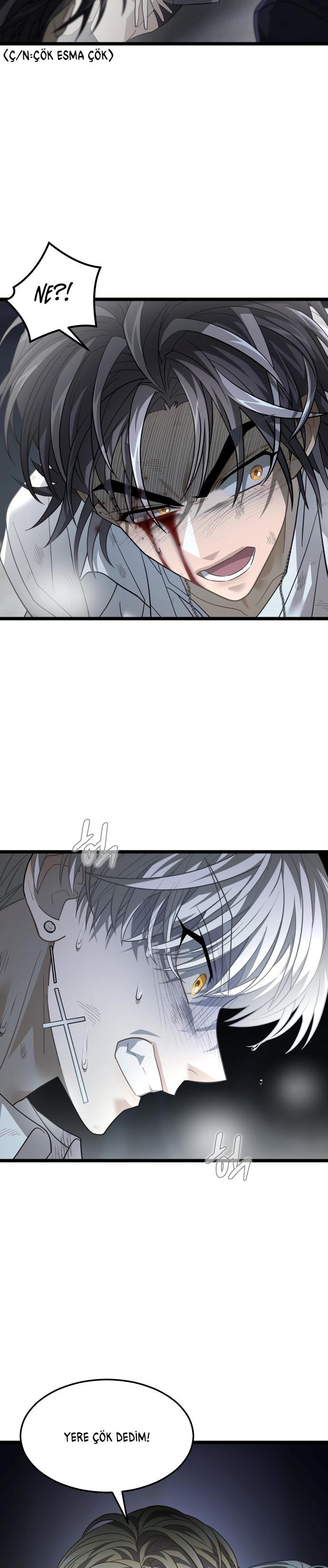 15-cm2xdfr0s0001tt82570od8ls