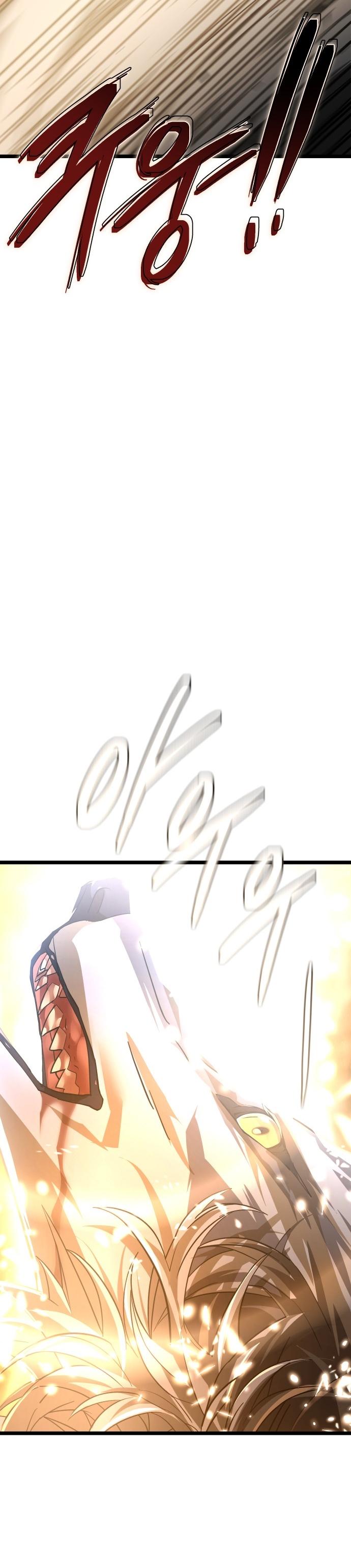44-cm2xdfr0s0001tt82570od8ls