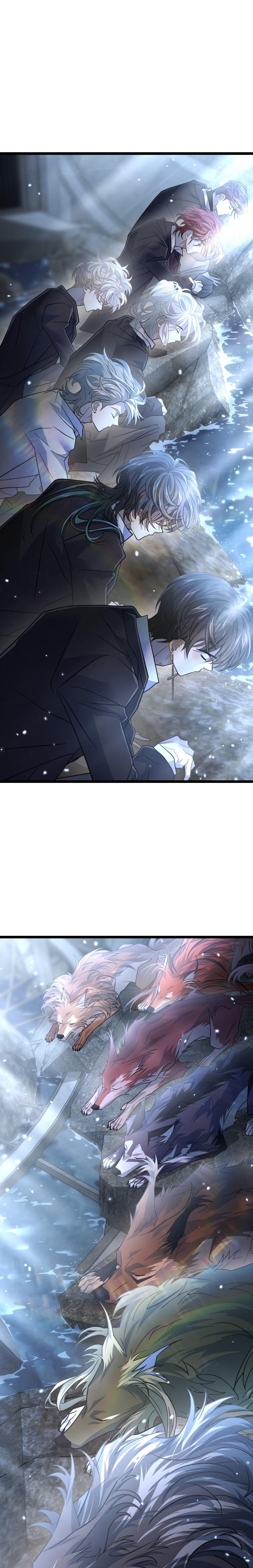2-cm2xdfr0s0001tt82570od8ls