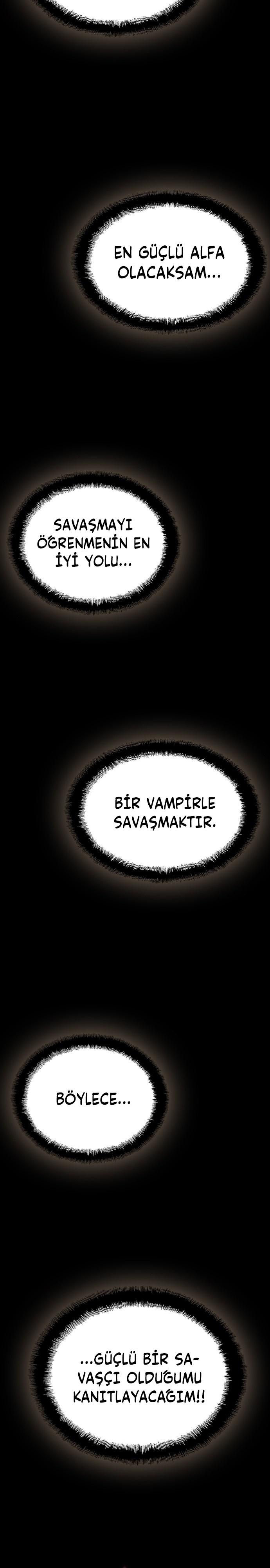 23-cmc1vvo430025phxcd4xhnki2
