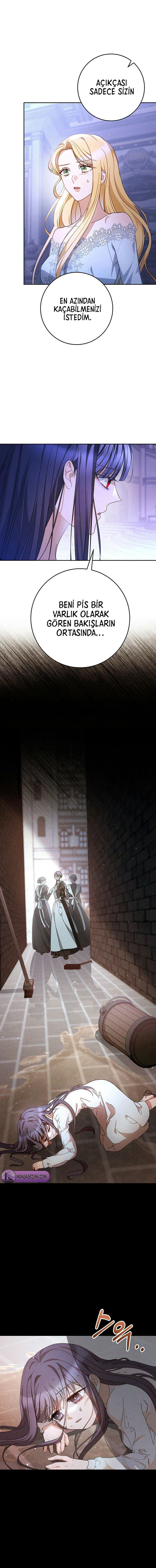 6-cmnq2268807i4ucwa0pciz3a1