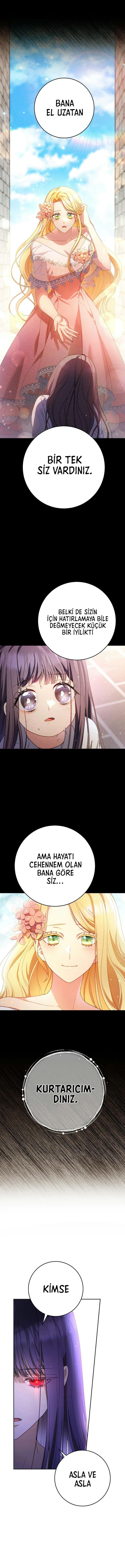 7-cmnq2268807i4ucwa0pciz3a1