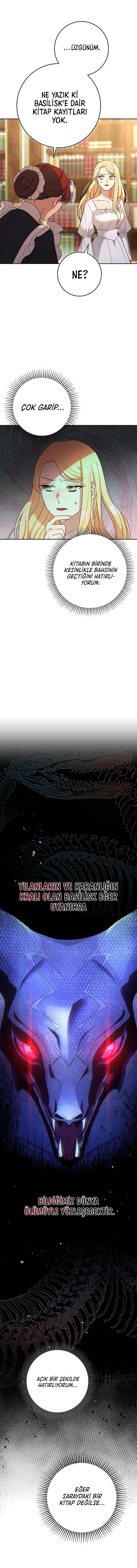 2-cmnq2268807i4ucwa0pciz3a1